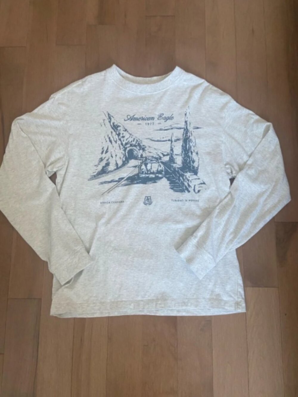American Eagle Boxy Long Sleeve Graphic T-Shirt